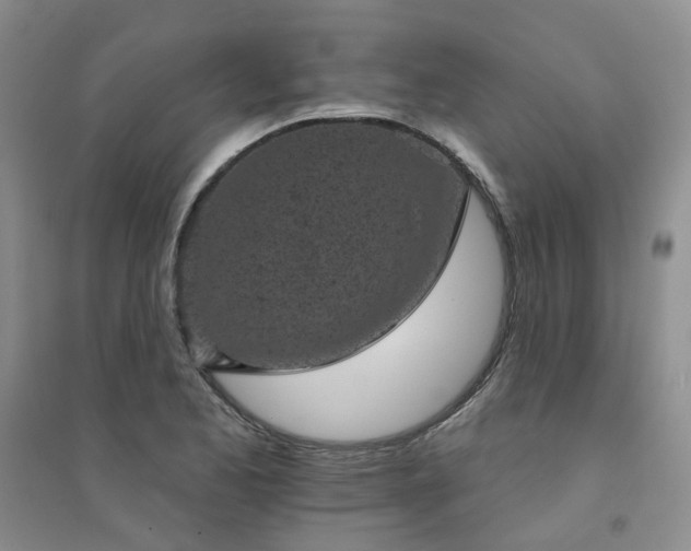 X0000094441173200711151358