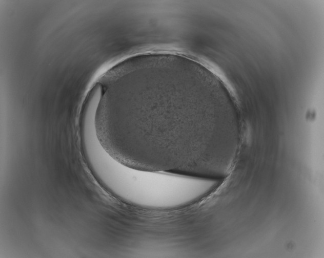 X0000094441176200711151358