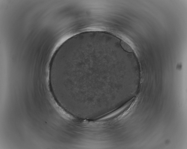 X0000094441179200711151357