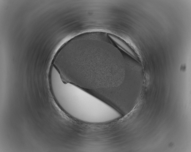 X0000094441181200711151357
