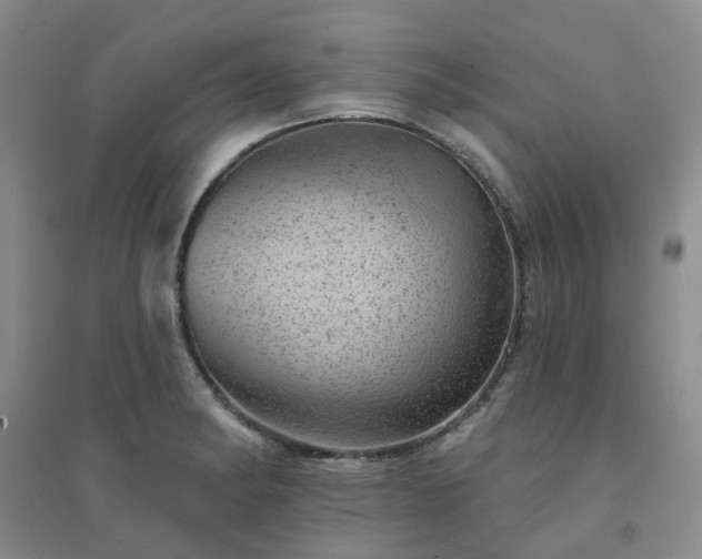 X0000094441182200711151357
