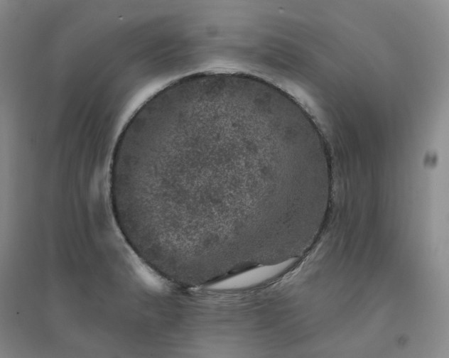X0000094441183200711151357