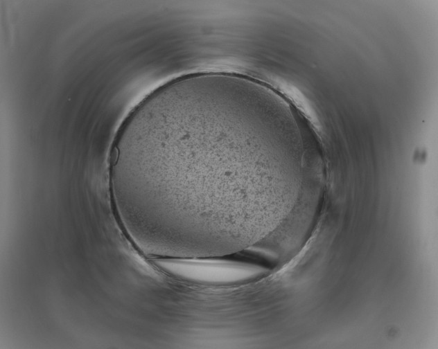 X0000094441184200711151357