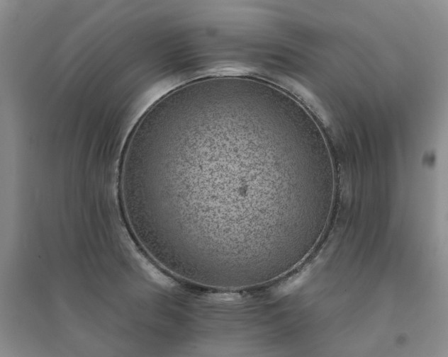 X0000094441186200711151357