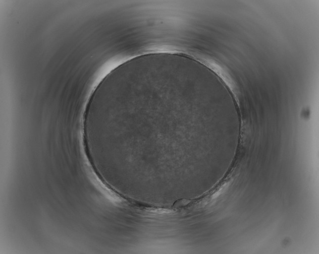 X0000094441187200711151357