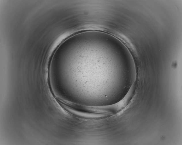X0000094441188200711151357
