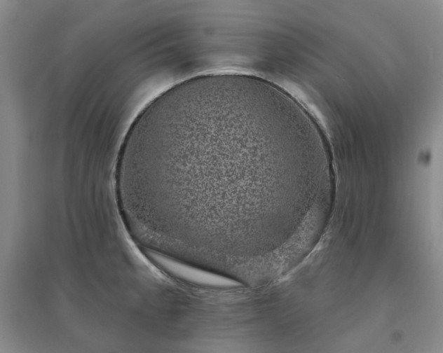 X0000094441189200711151357