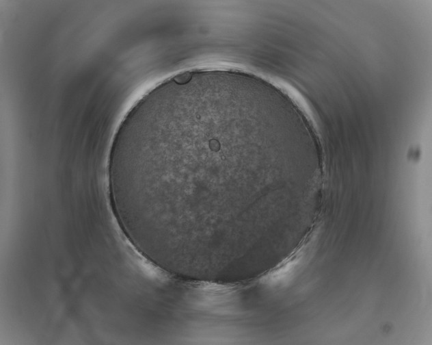 X0000094441191200711151357