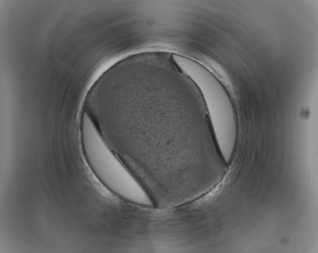 X0000094441192200711151357