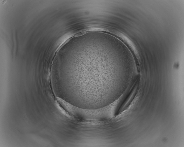 X0000094441193200711151357