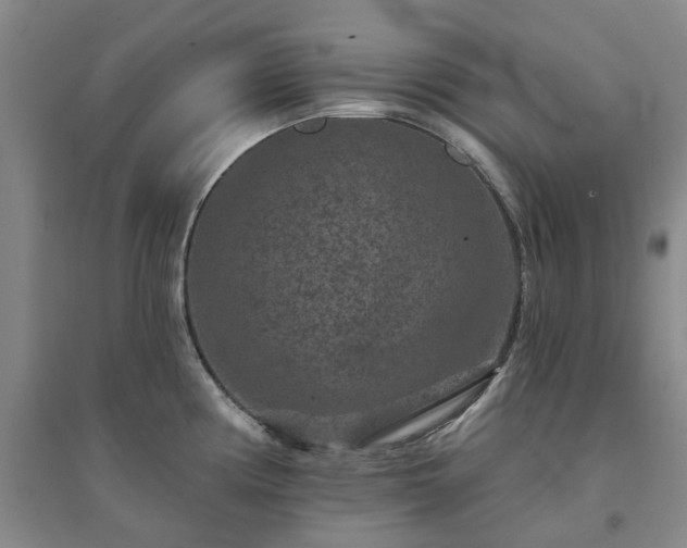 X0000094441194200711151357