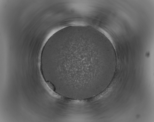 X0000094441195200711151357