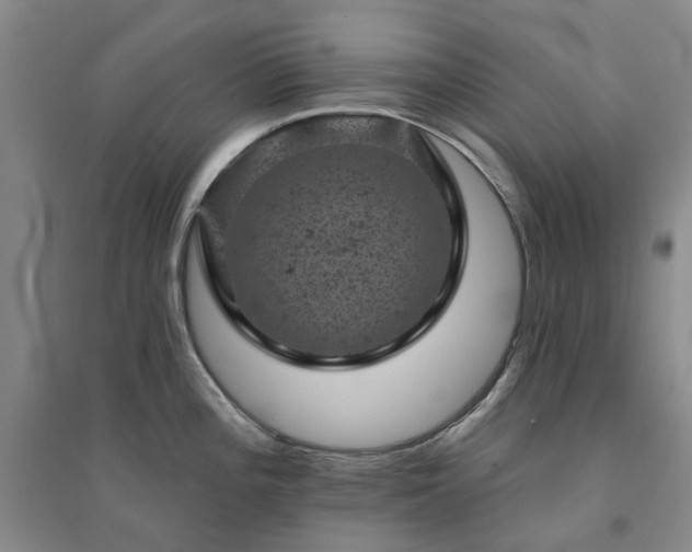 X0000094441196200711151357