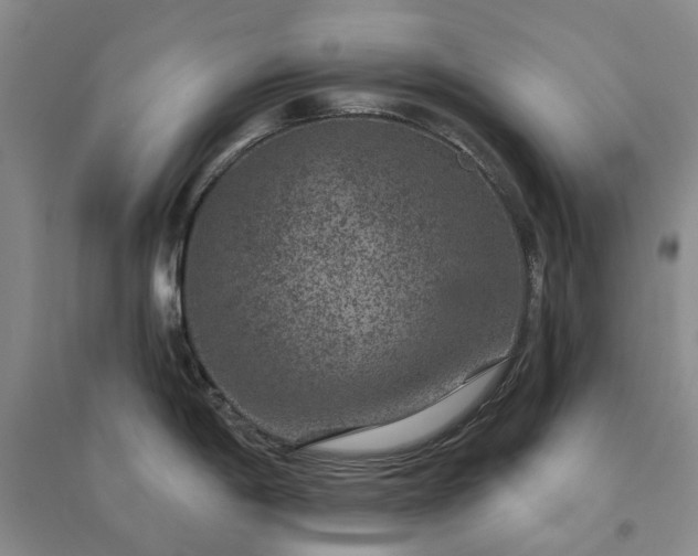 X0000094441198200711151357