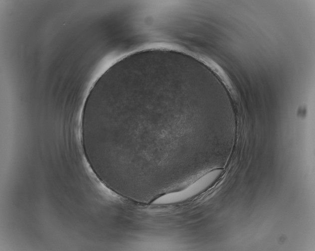 X0000094441199200711151357