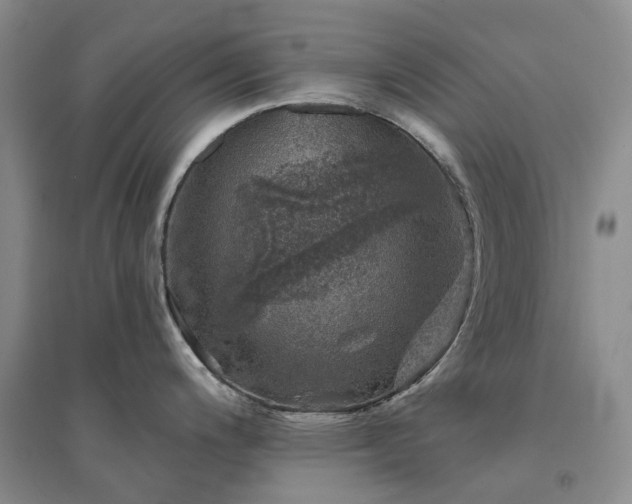 X0000094441200200711151357