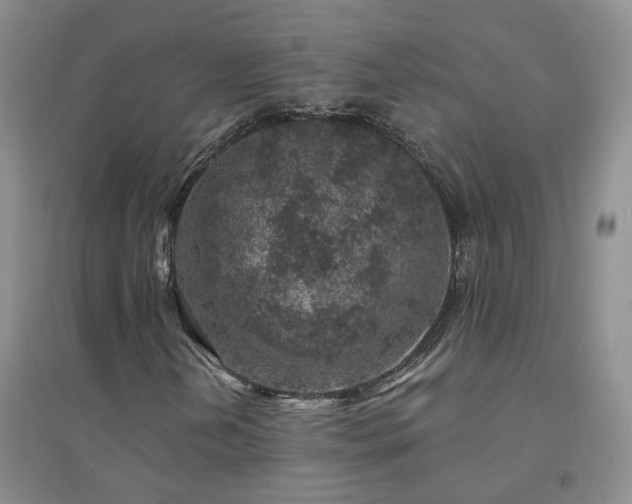 X0000094441202200711151357