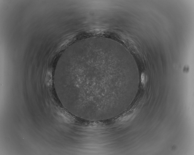 X0000094441203200711151357