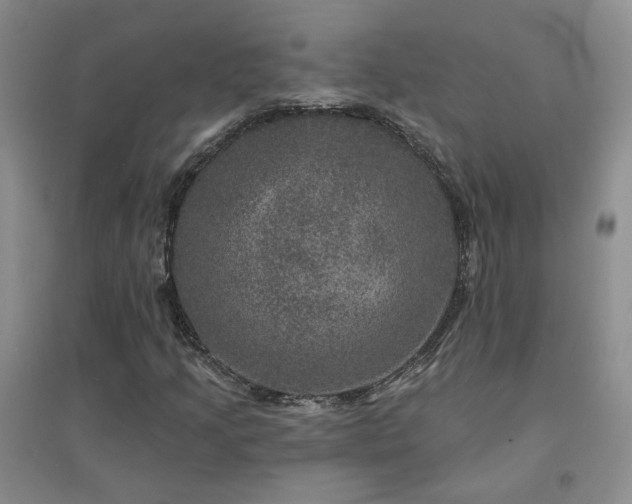 X0000094441205200711151357