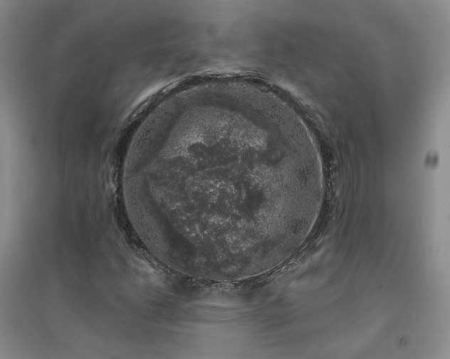 X0000094441206200711151357