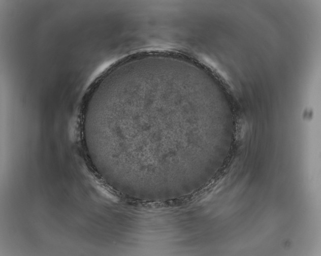 X0000094441208200711151357