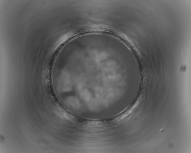 X0000094441211200711151357