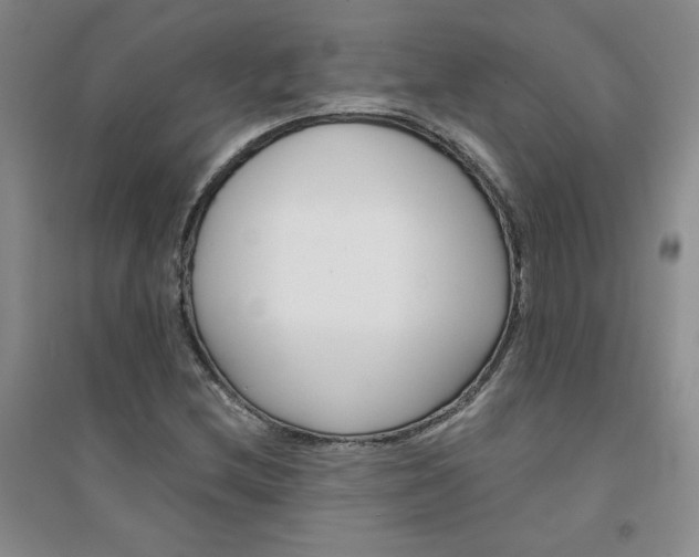 X0000094441212200711151357