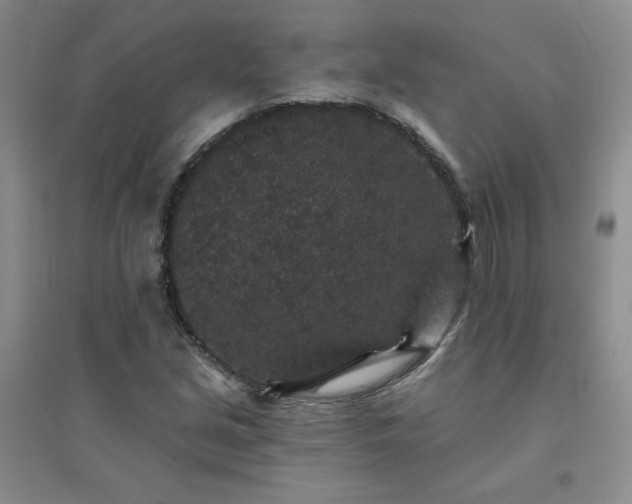 X0000094441213200711151357