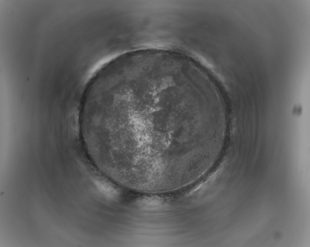 X0000094441214200711151357