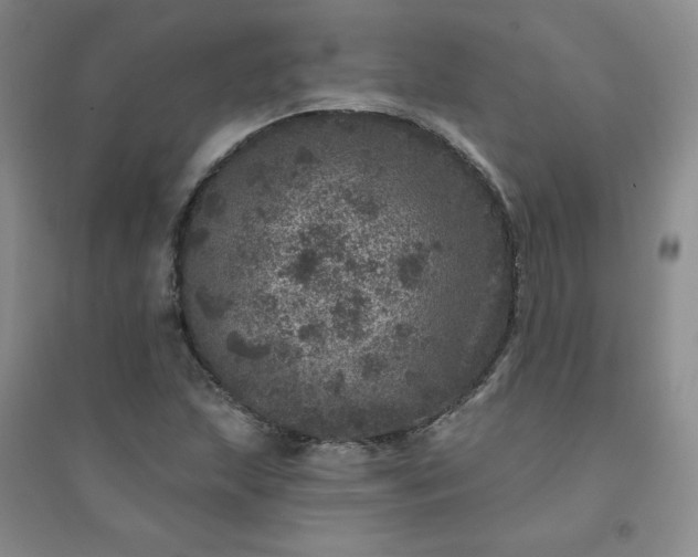X0000094441215200711151357