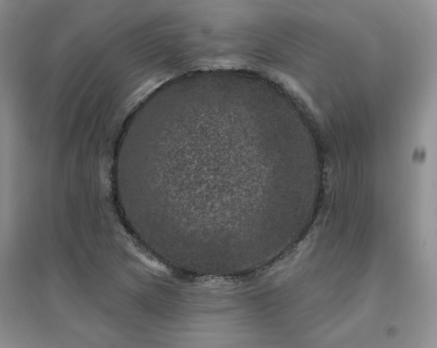 X0000094441217200711151357