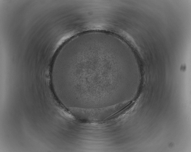 X0000094441218200711151357