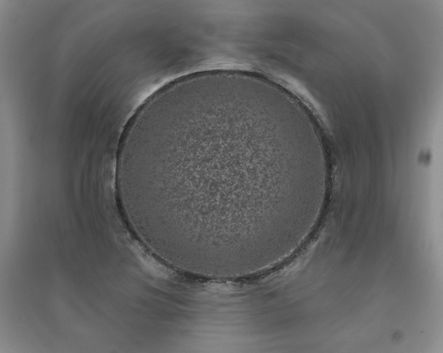 X0000094441220200711151357