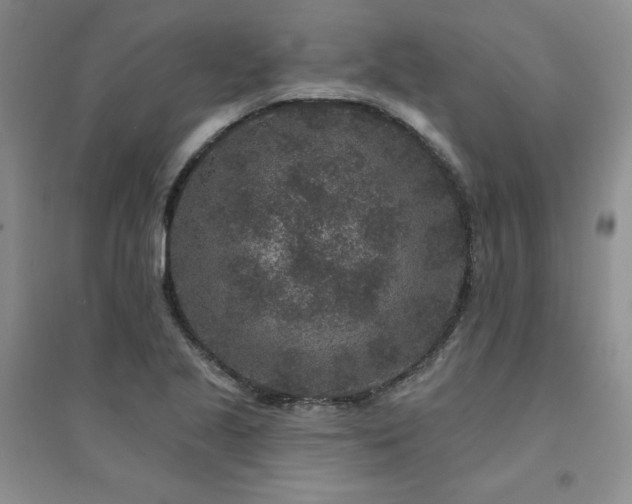 X0000094441221200711151357
