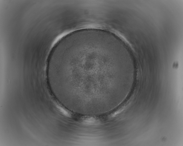 X0000094441222200711151357