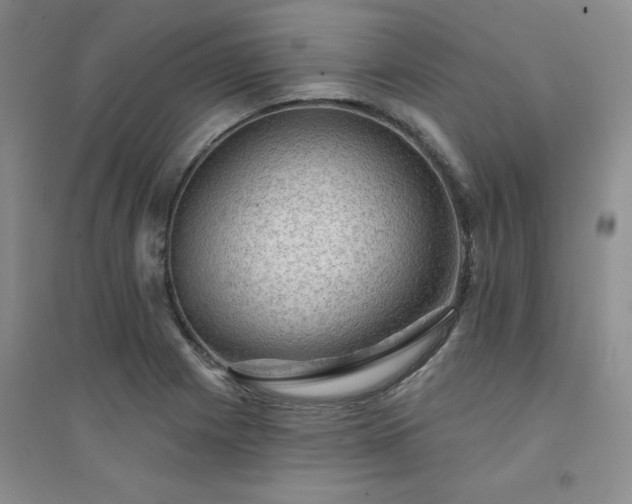 X0000094441225200711151357