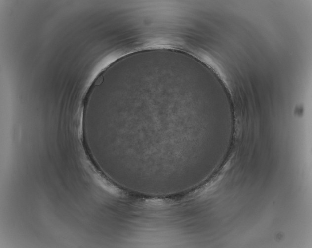 X0000094441227200711151357