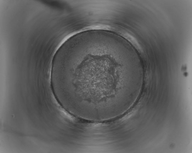 X0000094441228200711151357