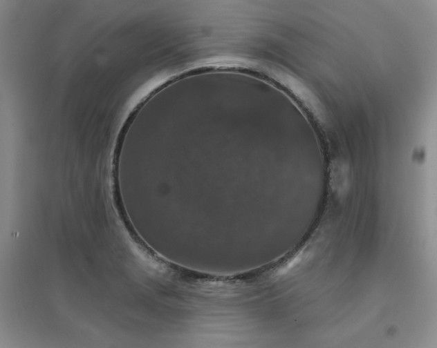 X0000094441229200711151357