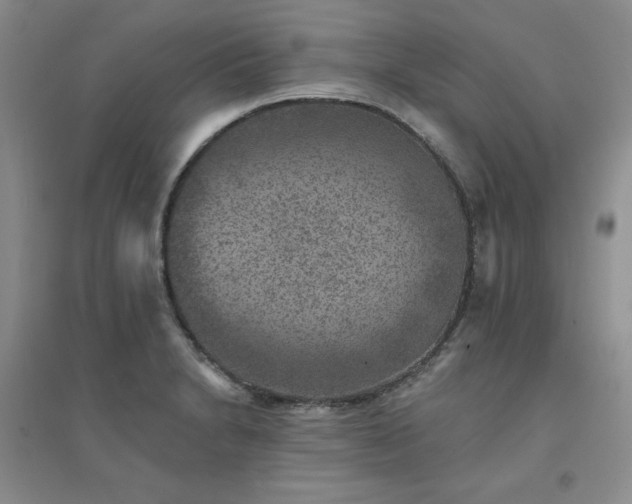 X0000094441230200711151357
