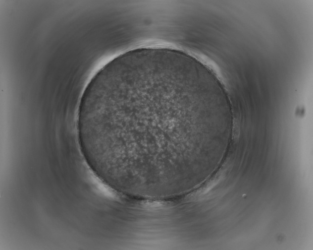X0000094441231200711151357