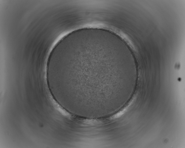 X0000094441232200711151357