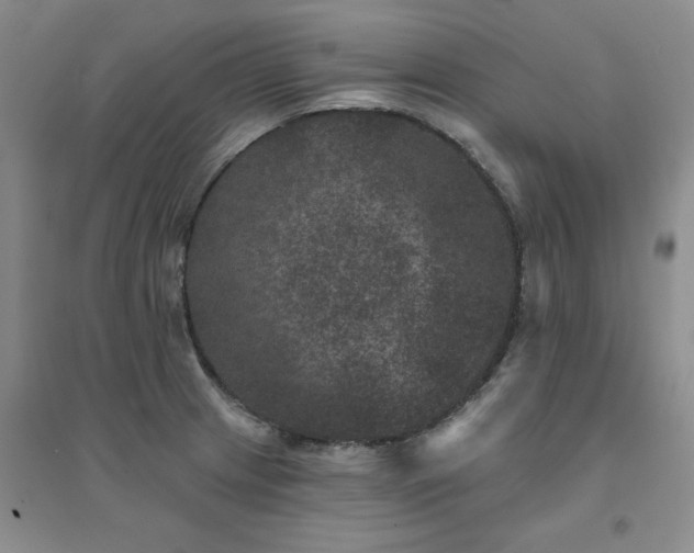X0000094441233200711151357
