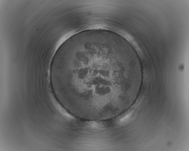 X0000094441234200711151357