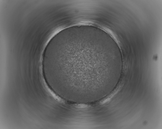 X0000094441235200711151357