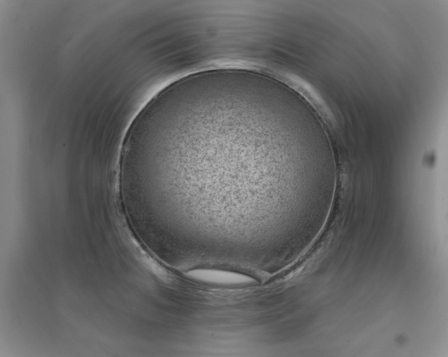 X0000094441236200711151357