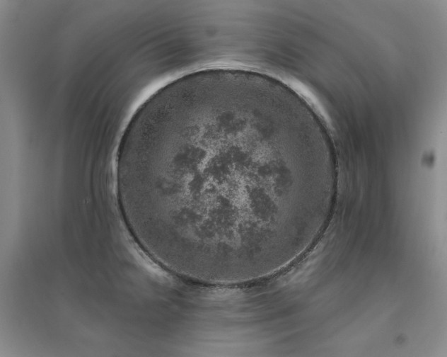 X0000094441238200711151357