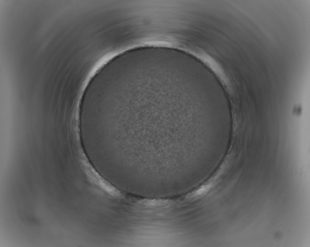 X0000094441240200711151357
