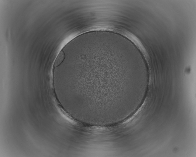 X0000094441242200711151357