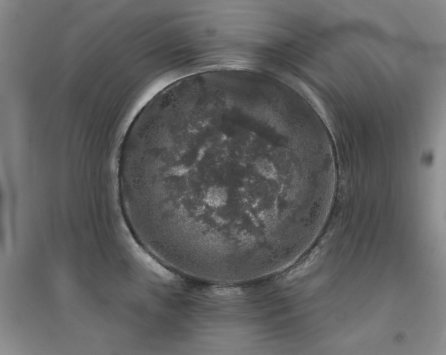 X0000094441243200711151357